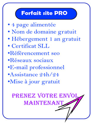 Site professionnel